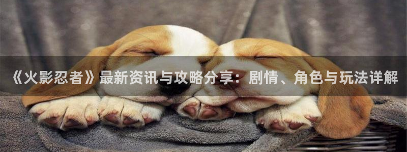 优贝娱乐注册地址：《火影忍者》最新资讯与攻略分享：剧情、角色