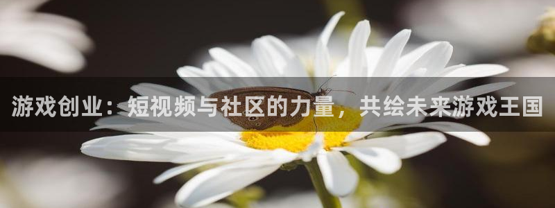 优贝娱乐平台负责人：游戏创业：短视频与社区的力量，共绘未来游