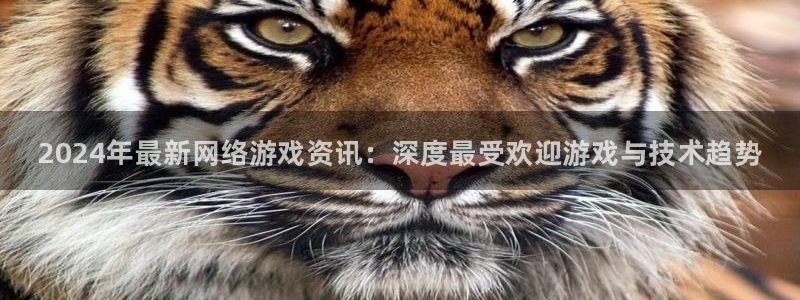 优贝娱乐网址注册：2024年最新网络游戏资讯：深度最受欢迎游