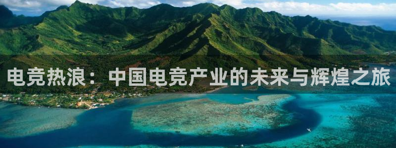 优贝娱乐怎么注册：电竞热浪：中国电竞产业的未来与辉煌之旅